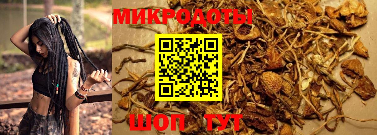 Псилоцибиновые грибы Magic Shrooms  Вход с VPN  Павловский Посад 