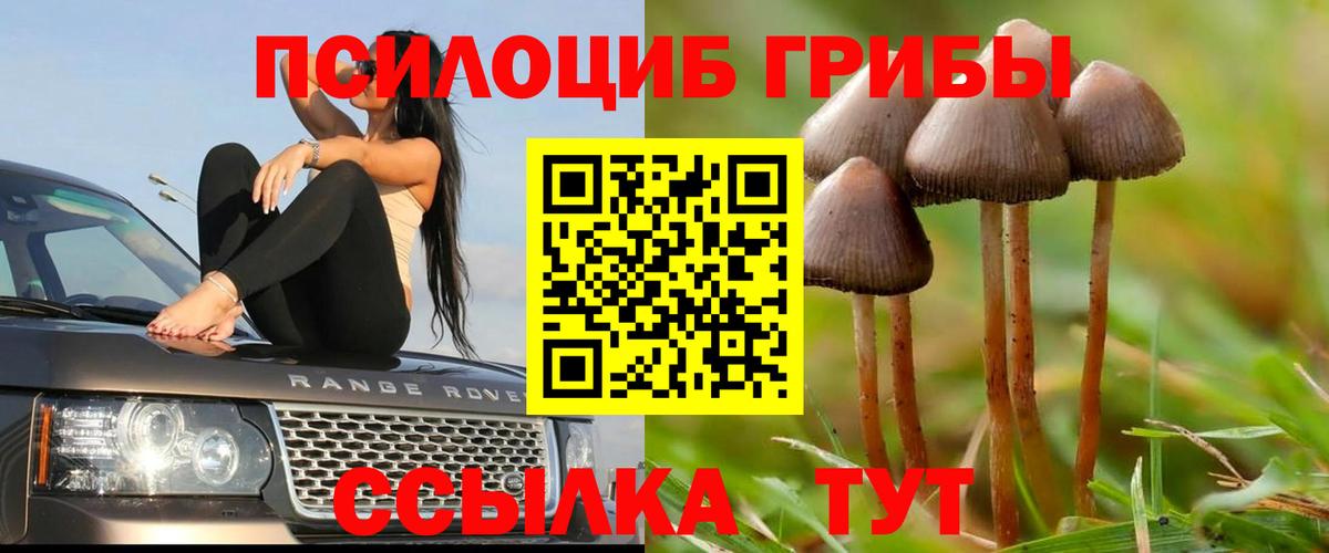 Галлюциногенные грибы ЛСД Павловский Посад
